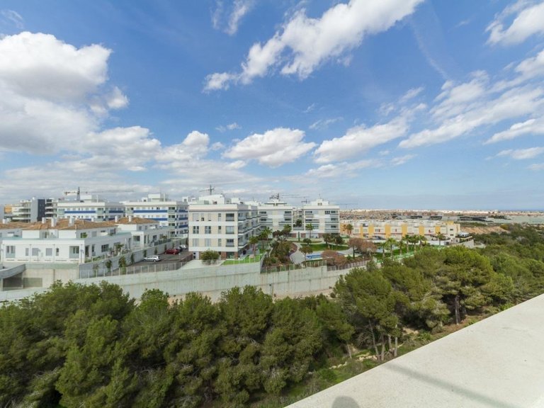 Penthouse for Sale in Inland Los Dolses, Alicante 23