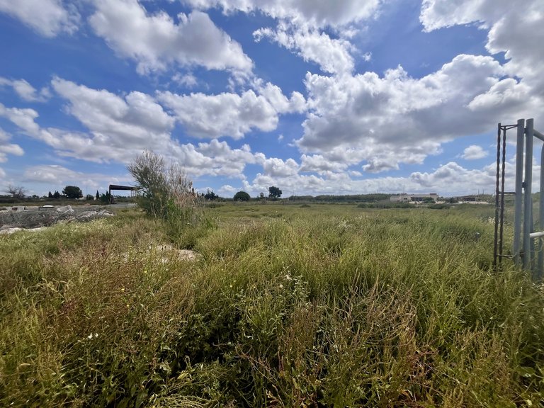 Plot for Sale in Catral, Alicante 5