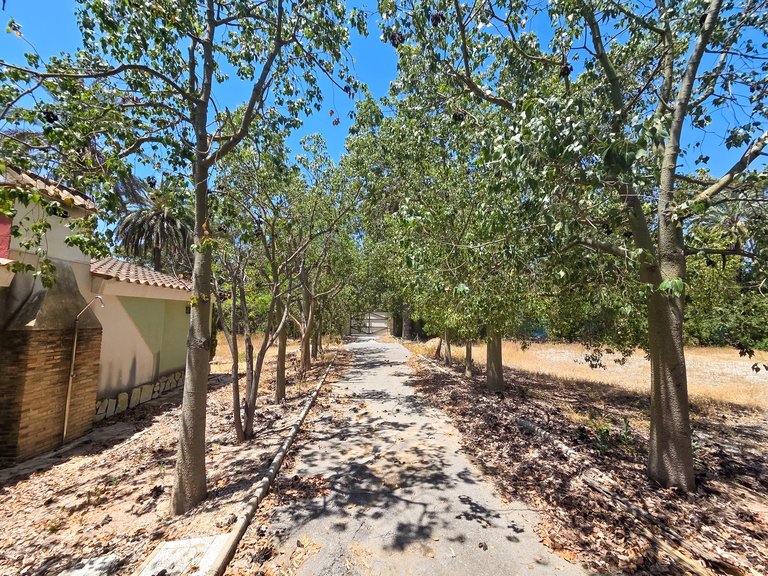 Villa for Sale in Costa Blanca Elche, Alicante 30