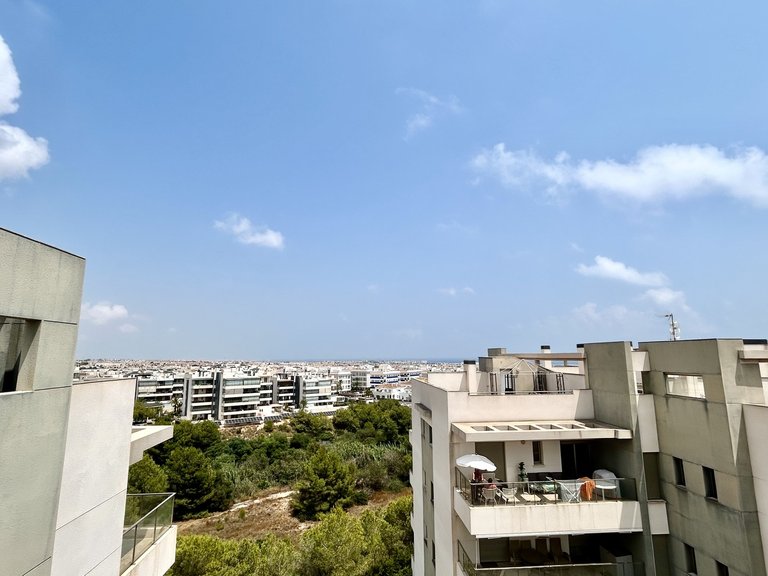Penthouse for Sale in Los Dolses, Alicante 21