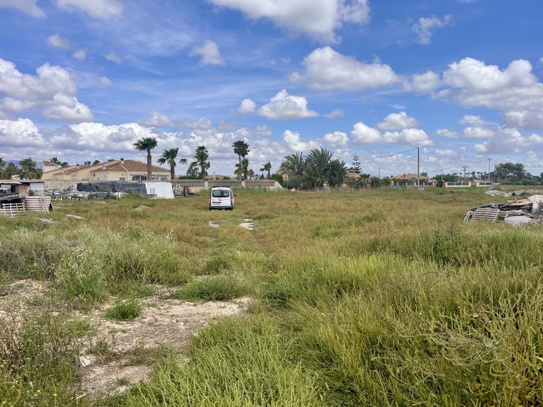 Plot for Sale in Catral, Alicante 2