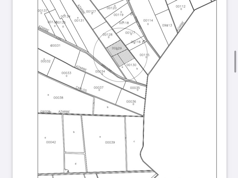 Plot for Sale in Catral, Alicante 7