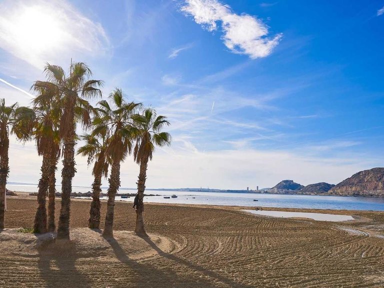 Villa for Sale in Els Poblets, Alicante 8