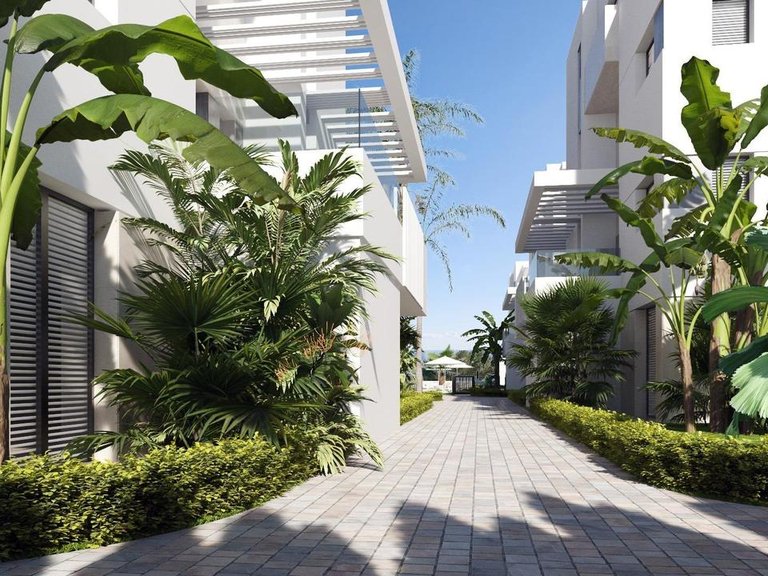 Apartment for Sale in Torre Pacheco, Murcia 3