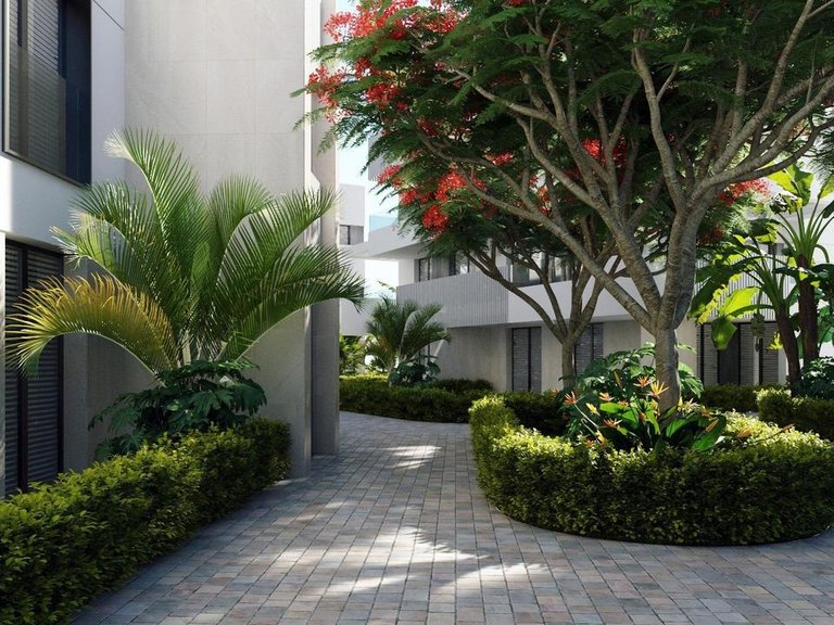 Apartment for Sale in Torre Pacheco, Murcia 6