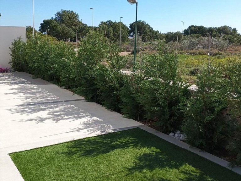 Villa for Sale in Pilar De La Horadada, Alicante 29