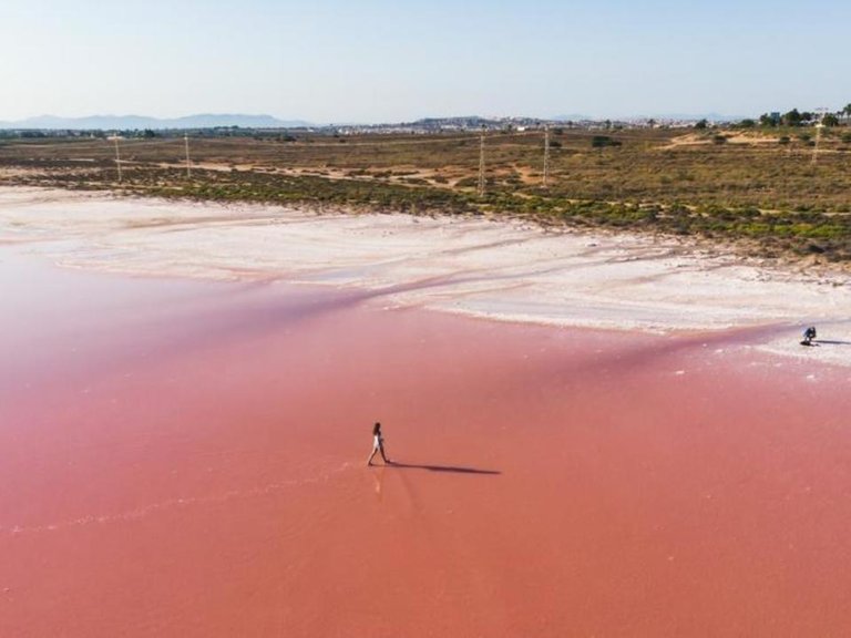 Apartment for Sale in Torrevieja, Alicante 24