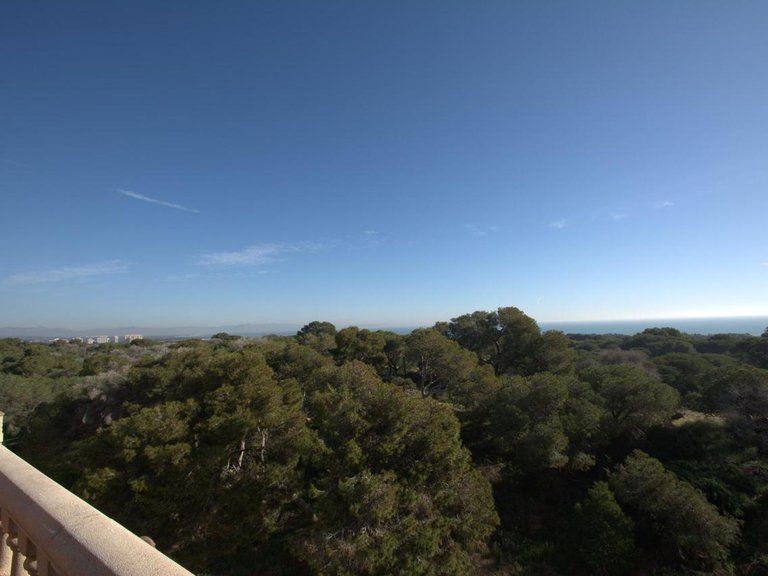 Apartment for Sale in Guardamar Del Segura, Alicante 15