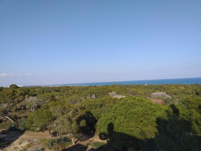 Apartment for Sale in Guardamar Del Segura, Alicante 3