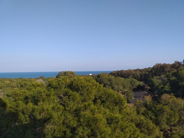 Apartment for Sale in Guardamar Del Segura, Alicante 12