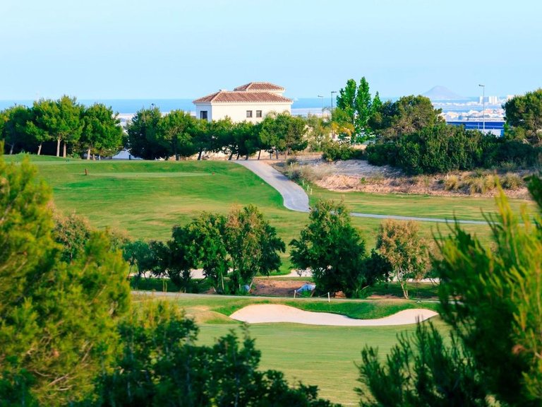 Villa for Sale in Pilar De La Horadada, Alicante 24