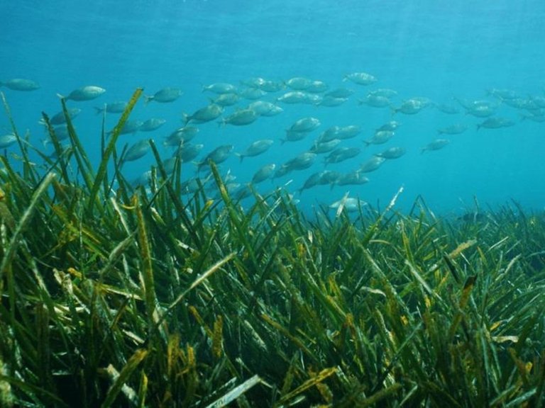 Villa for Sale in Benissa, Alicante 13