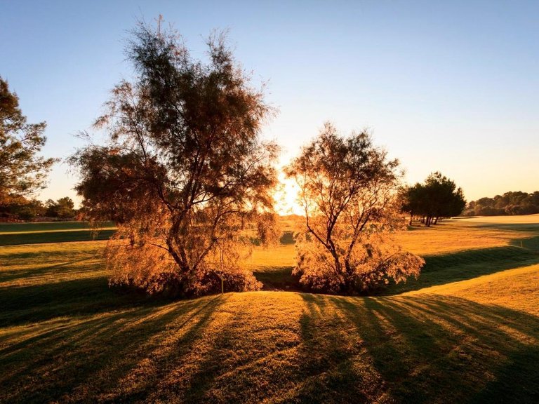 Villa for Sale in Pilar De La Horadada, Alicante 25
