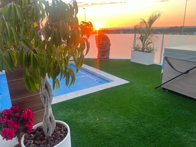 Villa for Sale in Los Montesinos, Alicante 5