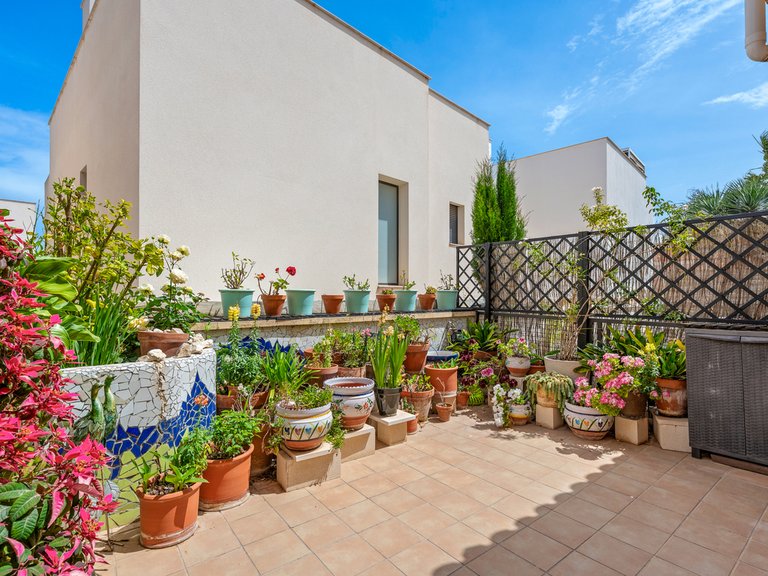 Town House for Sale in San Miguel De Salinas, Alicante 34
