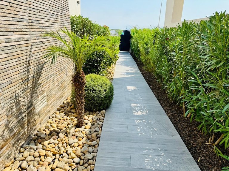 Villa for Sale in Algorfa, Alicante 15