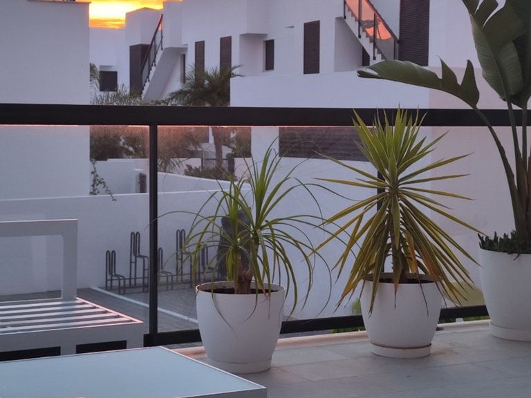 Apartment for Sale in Pilar De La Horadada, Alicante 12