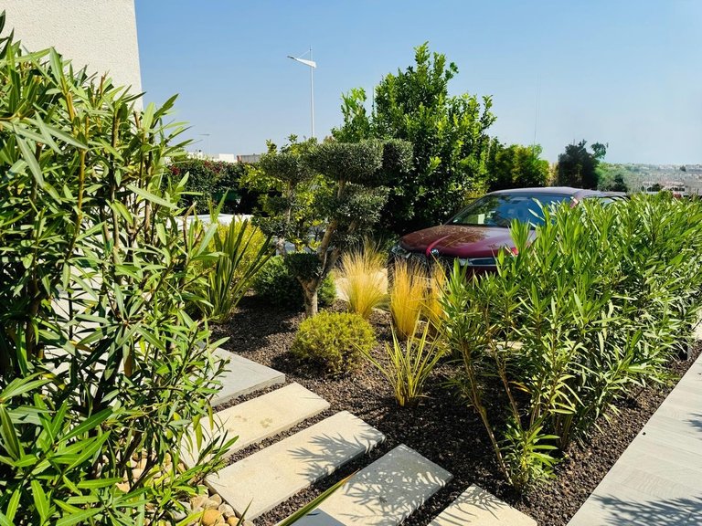 Villa for Sale in Algorfa, Alicante 18