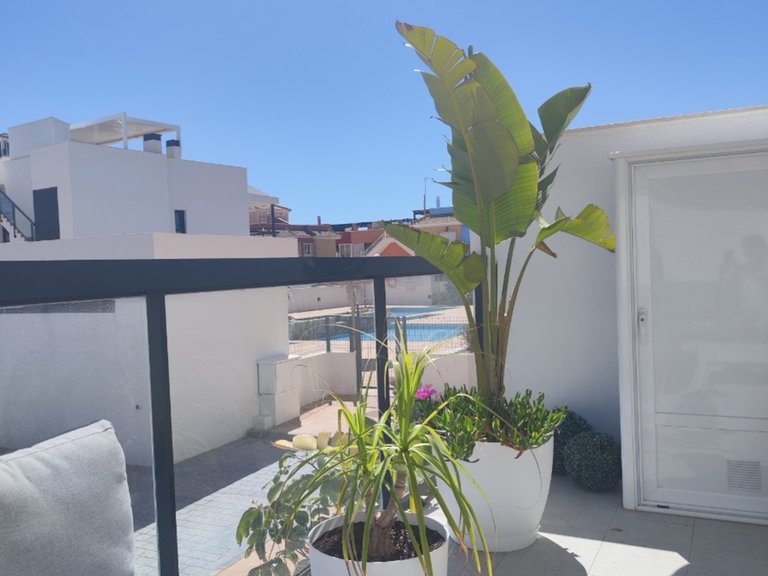 Apartment for Sale in Pilar De La Horadada, Alicante 8