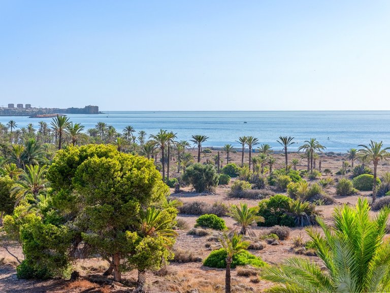 Apartment for Sale in Orihuela Costa, Alicante 21