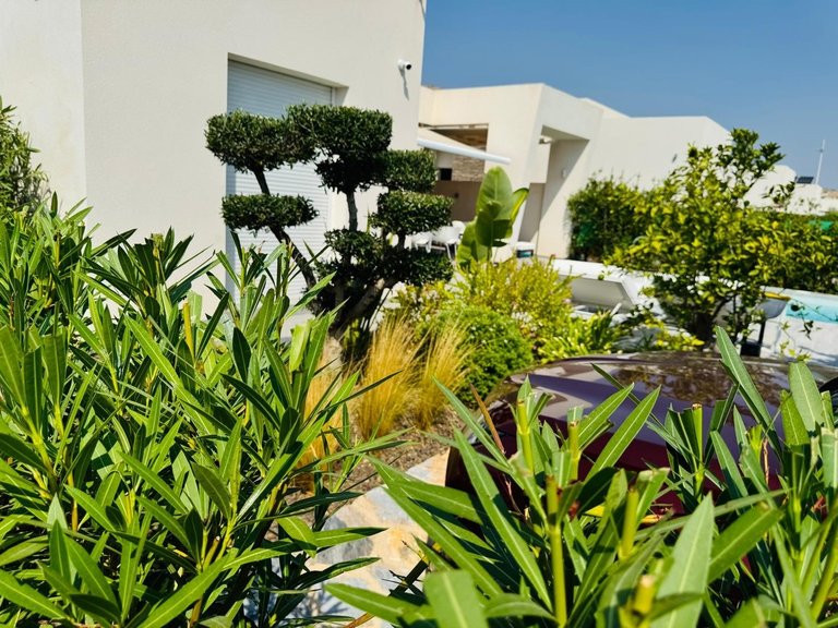 Villa for Sale in Algorfa, Alicante 17