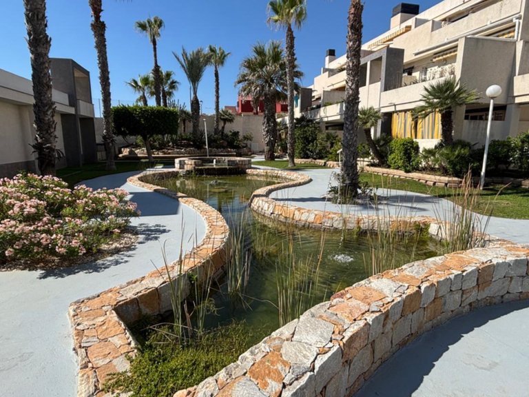 Apartment for Sale in Torrevieja, Alicante 19