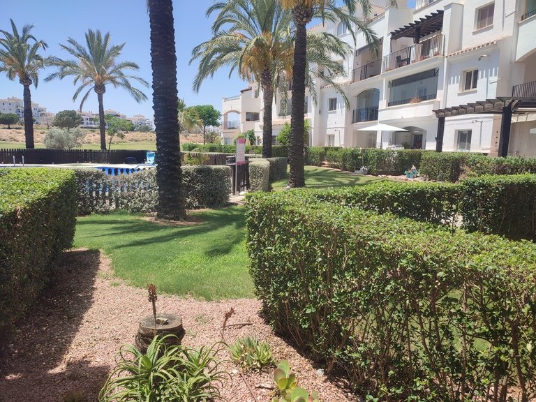 Apartment for Sale in Hacienda Riquelme Golf Resort, Murcia 16