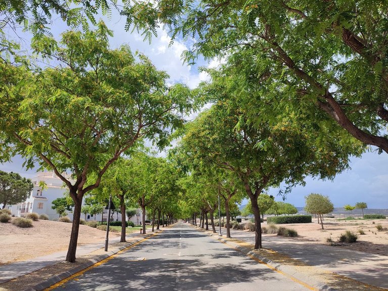 Apartment for Sale in Hacienda Riquelme Golf Resort, Murcia 35