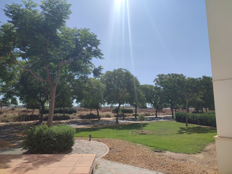 Apartment for Sale in Hacienda Riquelme Golf Resort, Murcia 35