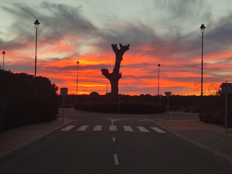 Villa for Sale in Peraleja Golf Resort, Murcia 11