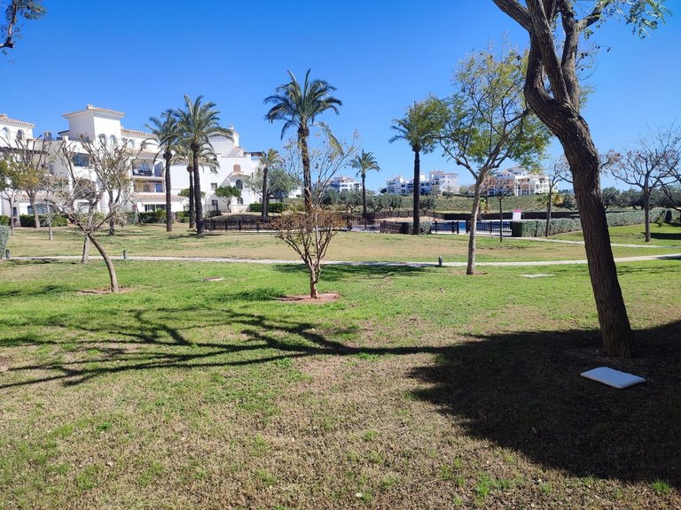 Apartment for Sale in Hacienda Riquelme Golf Resort, Murcia 29