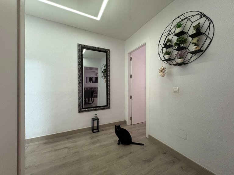 Apartment for Sale in Torrevieja, Alicante 4