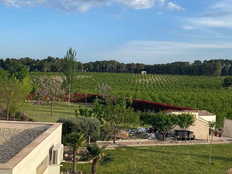 Villa for Sale in Caravaca De La Cruz, Murcia 32