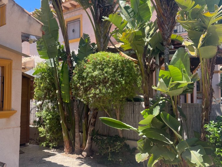 Villa for Sale in La Zenia, Alicante 4