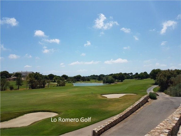Apartment for Sale in Pilar De La Horadada, Alicante 12