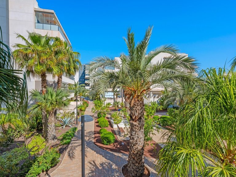 Apartment for Sale in Los Dolses, Alicante 7