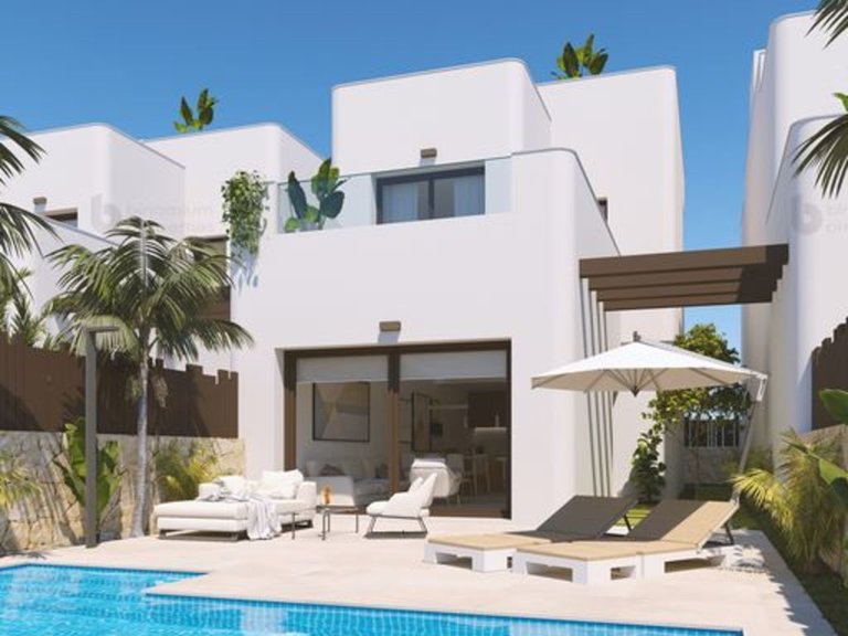 Villa for Sale in Mil Palmeras, Alicante 10