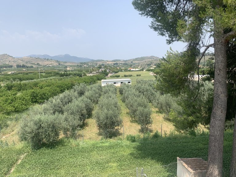 Villa for Sale in Cehegin, Murcia 43