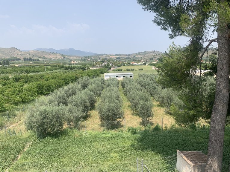 Villa for Sale in Cehegin, Murcia 41