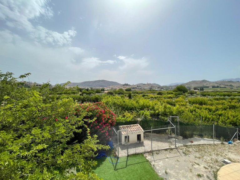 Villa for Sale in Cehegin, Murcia 33