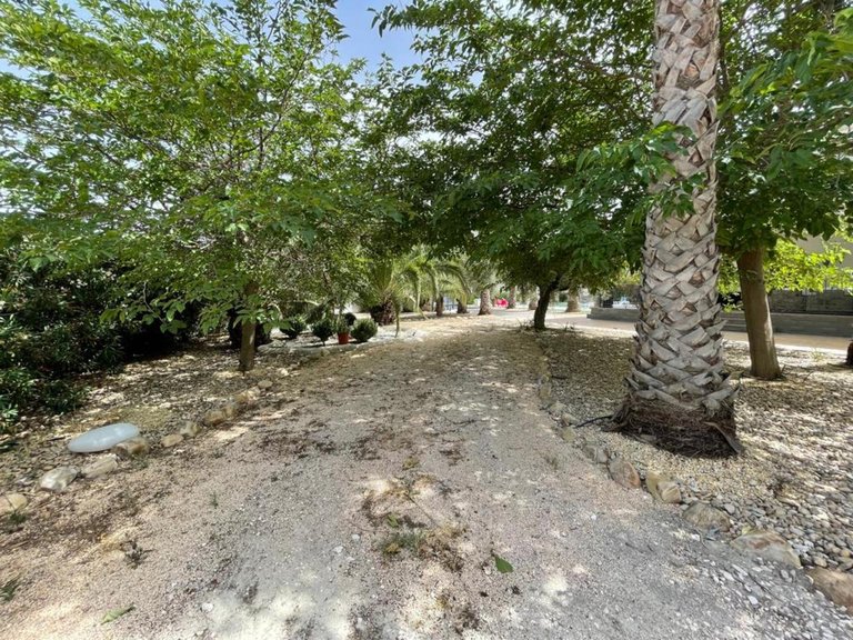 Villa for Sale in Cehegin, Murcia 11