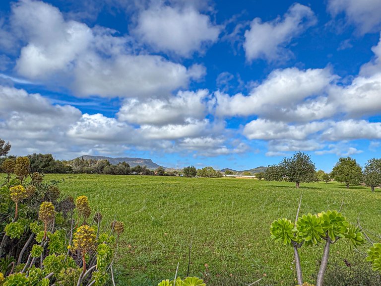 Plot for Sale in Llucmajor, Balearic Islands 9