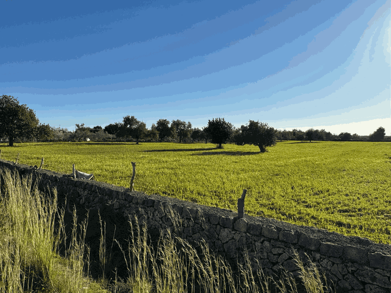 Plot for Sale in Llucmajor, Balearic Islands 3