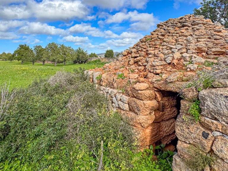 Plot for Sale in Llucmajor, Balearic Islands 7