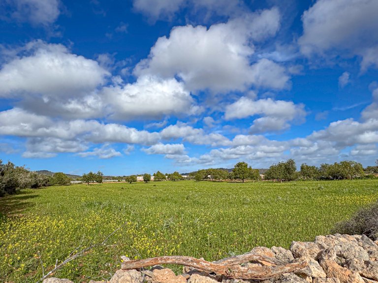 Plot for Sale in Llucmajor, Balearic Islands 10