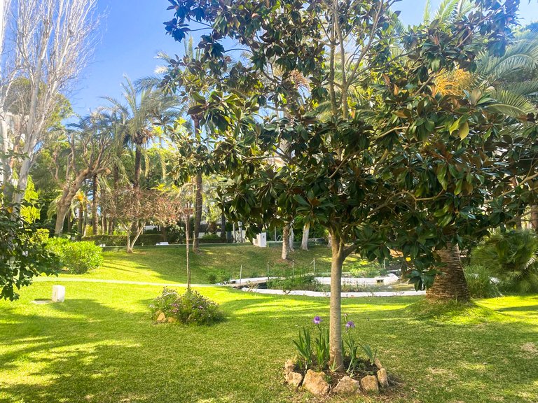 Apartment for Sale in Palma De Mallorca, Balearic Islands 17