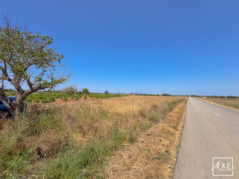 Plot for Sale in Felanitx, Balearic Islands 6