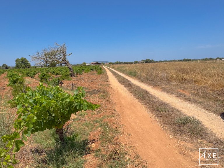Plot for Sale in Felanitx, Balearic Islands 8