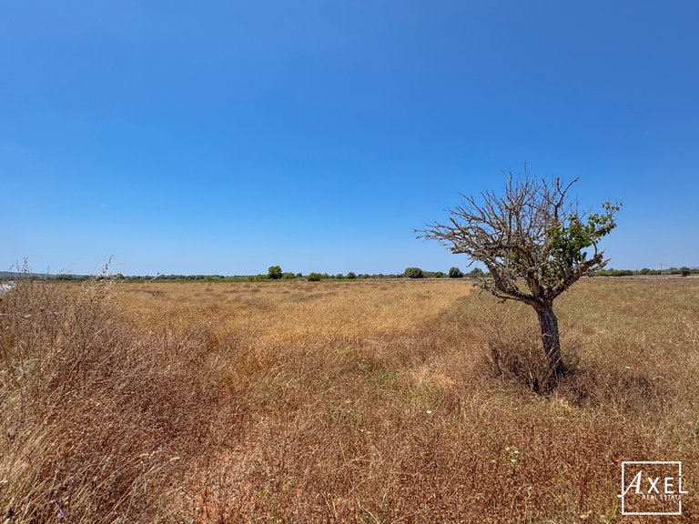 Plot for Sale in Felanitx, Balearic Islands 7