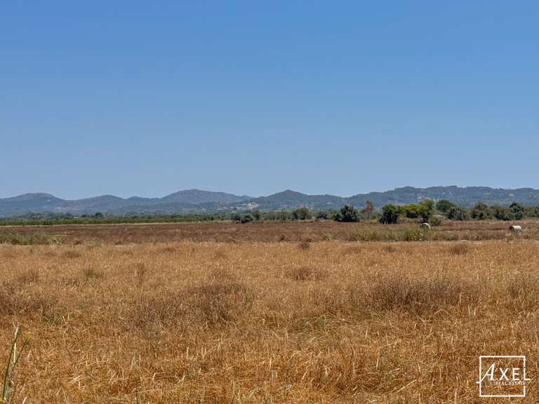 Plot for Sale in Felanitx, Balearic Islands 3